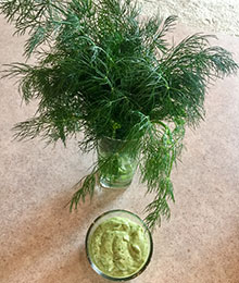 Avocado Dill Salad Dressing