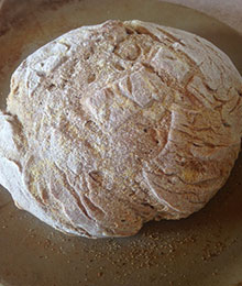 Dr. Beth's Rustic Bread